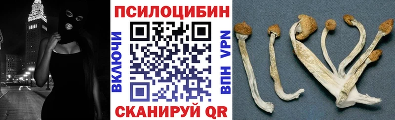 OMG tor маркетплейс наркотические препараты Псилоцибиновые грибы Psilocybine cubensis Красноуфимск